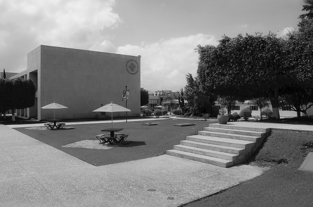 La formación universitaria como impulsora del espíritu empresarial