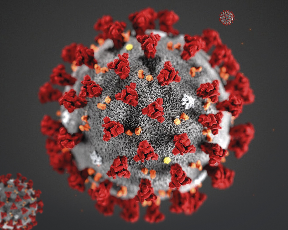 Coronavirus COVID-19: La nueva pandemia